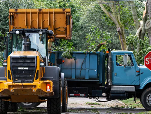 Backhoe picking up tree damage after storm and placing in a dump truck.