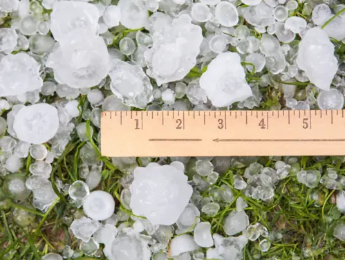 Pieces of hail spread out on ground with ruler measuring 1-2 inches on some hail.
