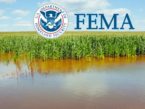 Flooded cornfield. FEMA logo.