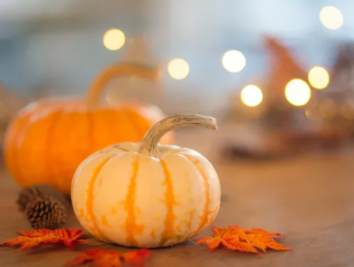 Pumpkins and fall leaves on table with holiday lighting.