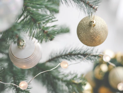 image of part of a pine tree with gold and white ornaments and lights