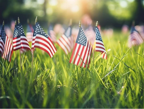 grass field with small American flags stuck in the ground 