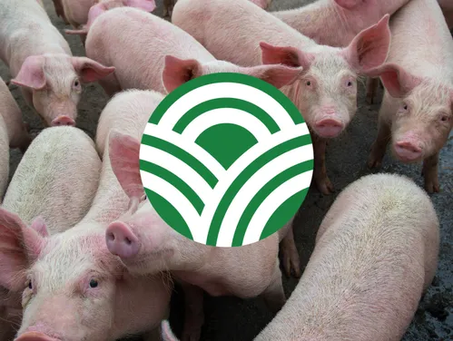 Iowa Dept. of Agriculture logo, swine herd