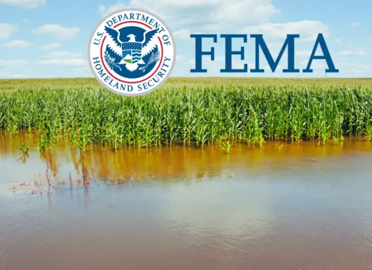 Flooded cornfield. FEMA logo.