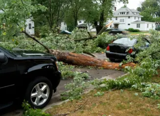 Cars parked on neighborhood street with trees down around them from wind damage.