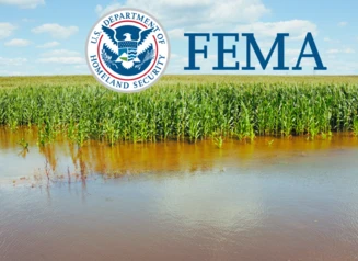 Flooded cornfield. FEMA logo.