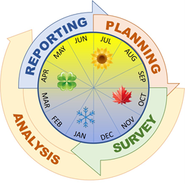 Survey Cycle Graphic showing 4 phases in each survey year, including: planning, survey, analysis and reporting..