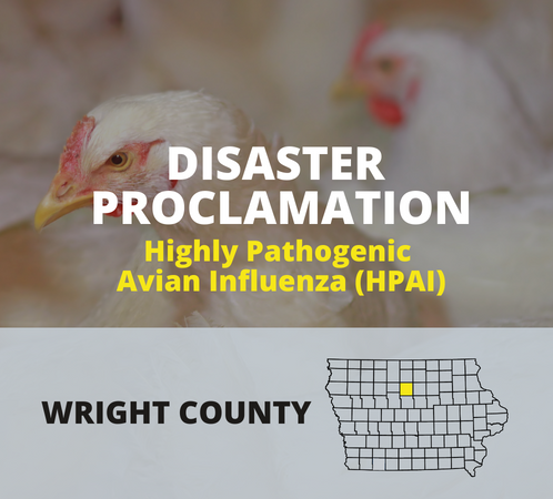 Disaster Proclamation - highly pathogenic avian influenza (HPAI) - Wright County