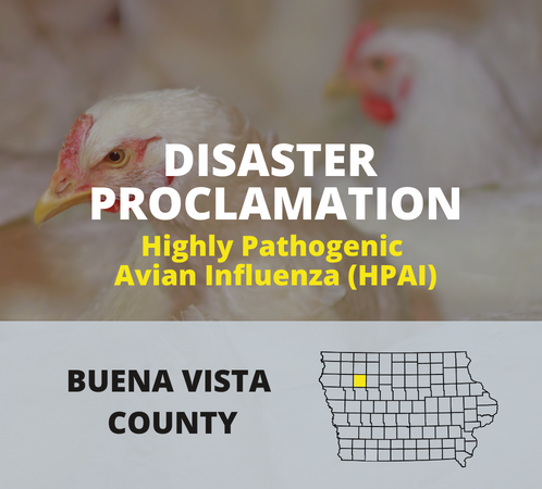 Disaster Proclamation - highly pathogenic avian influenza (HPAI) - Buena Vista County