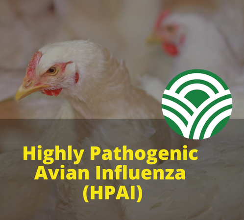 Highly Pathogenic Avian Influenza (HPAI)