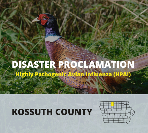 Disaster Proclamation - Kossuth County