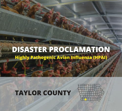 Disaster Proclamation - Taylor County